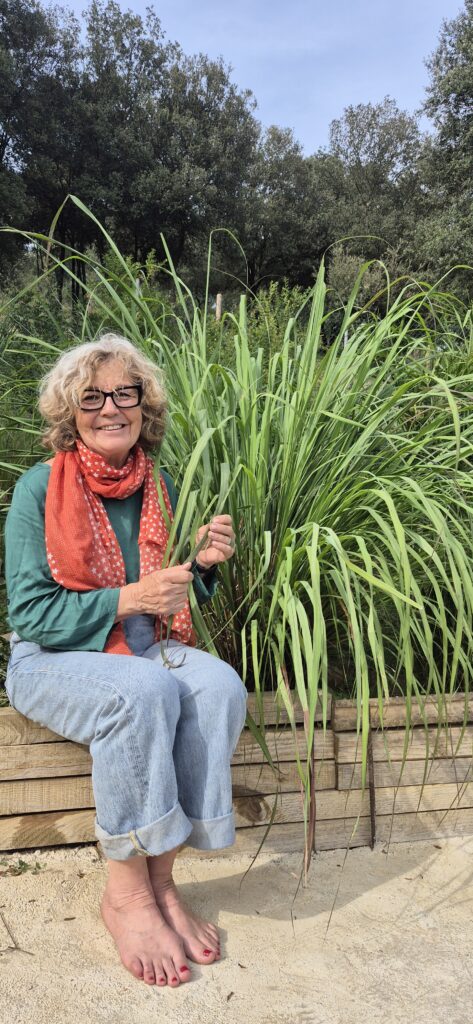 Núria Noguera, formuladora de KSUMAI, junto a la planta de citronela — el origen natural del Detox Hepático.